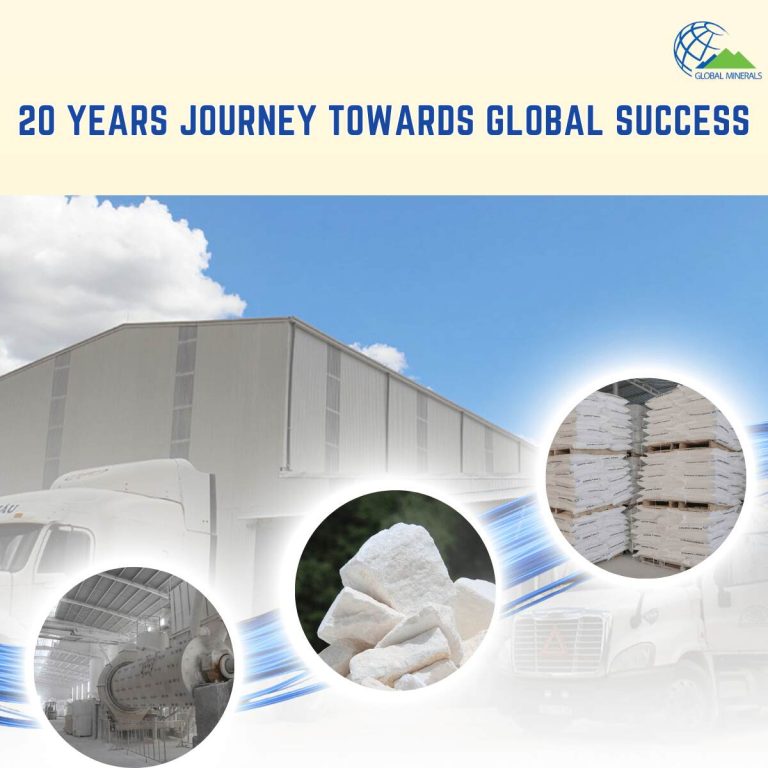 Read more about the article High-Quality Calcium Carbonate Powder from Global Minerals