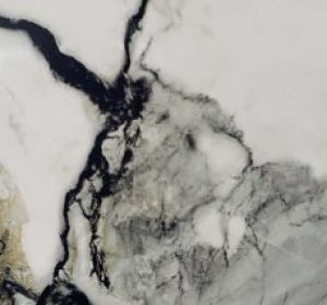 VQ7001-Antlia-canvan-product-300x214