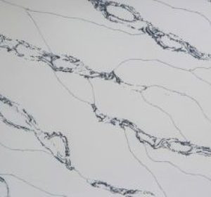 VQ8028W-Black-Venom-canvan-1-product-300x214